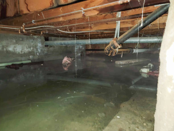 Best Carpet water damage restoration  in Berry Creek, CA