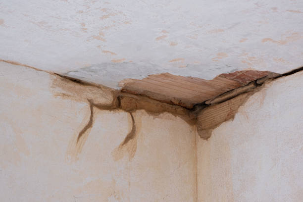 Best Carpet water damage restoration  in Berry Creek, CA