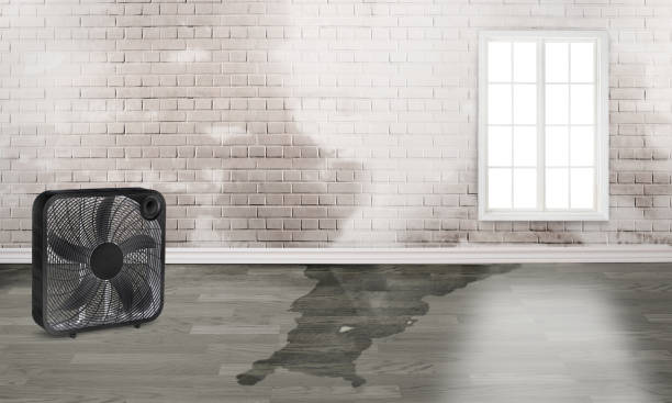  Berry Creek, CA Water damage restoration Pros