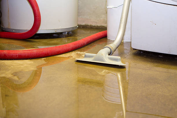 Best Flooded house restoration  in Berry Creek, CA