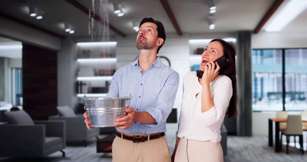 Best Ceiling water damage repair  in Berry Creek, CA